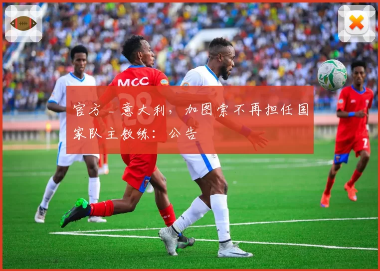 官方 _ 意大利，加图索不再担任国家队主教练：公告