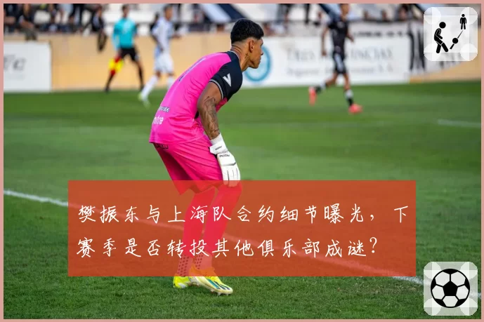 樊振东与上海队合约细节曝光，下赛季是否转投其他俱乐部成谜？