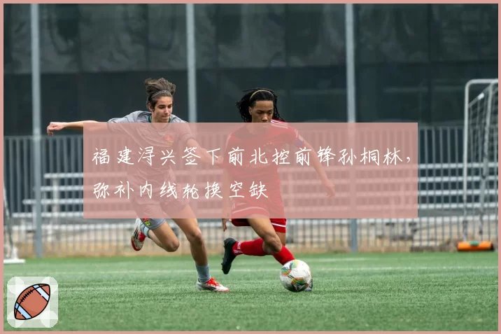 福建浔兴签下前北控前锋孙桐林,弥补内线轮换空缺