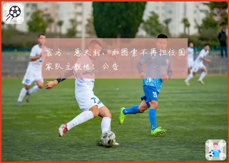 官方 _ 意大利，加图索不再担任国家队主教练：公告