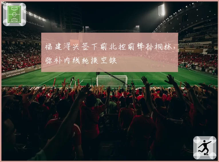 福建浔兴签下前北控前锋孙桐林,弥补内线轮换空缺