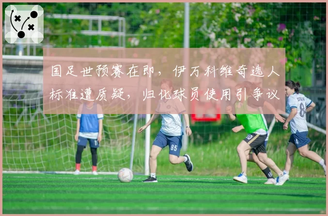 国足世预赛在即，伊万科维奇选人标准遭质疑，归化球员使用引争议？